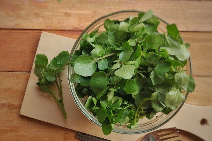 Fresh Watercress on bowl above wooden chopping board
