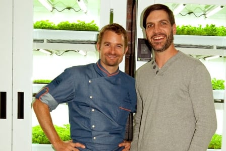 Get Über-fresh Greens from Urban Cultivator and the Living Produce Aisle
