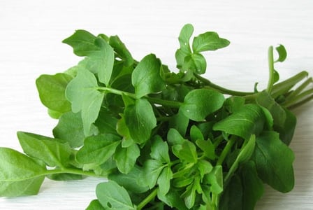 Munch on Watercress for Reduced Oxidative Stress after Exercise
