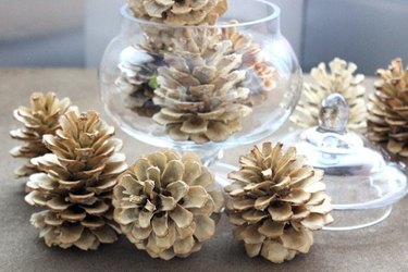 Bleached pine cones